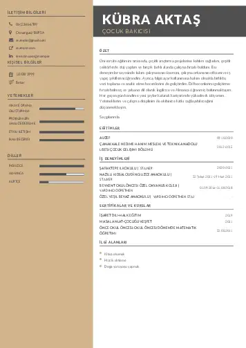 Çocuk Bakıcısı CV Örnekleri cv indir